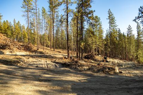 1477 College Ln # p, Kettle Falls, WA 99141