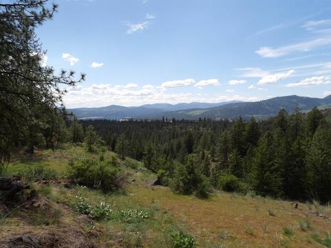 Lot Dd Hwy 25 Hwy, Hunters, WA 99137