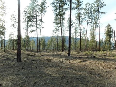 Lot #3 Fumi Cir, Kettle Falls, WA 99141