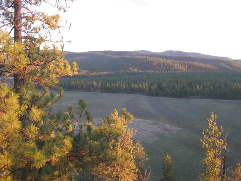 4249 D Hwy 231 Hwy, Springdale, WA 99173
