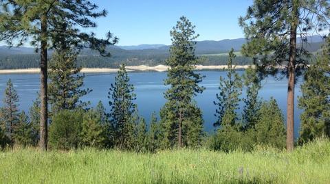 Nn Vista Ridge Way, Gifford, WA 99131