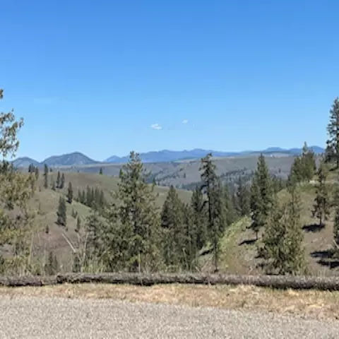 30791 Pine Hen Ln, Davenport, WA 99122