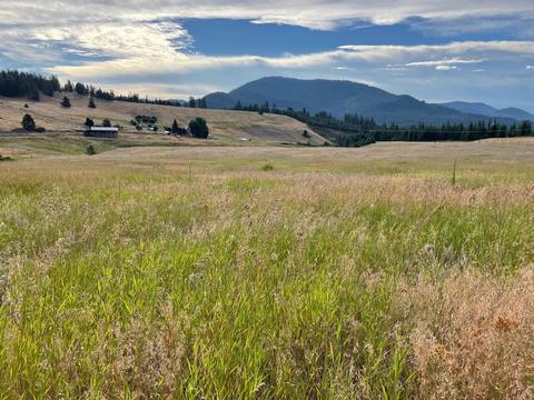 26 Nn Highline Rd, Chewelah, WA 99109