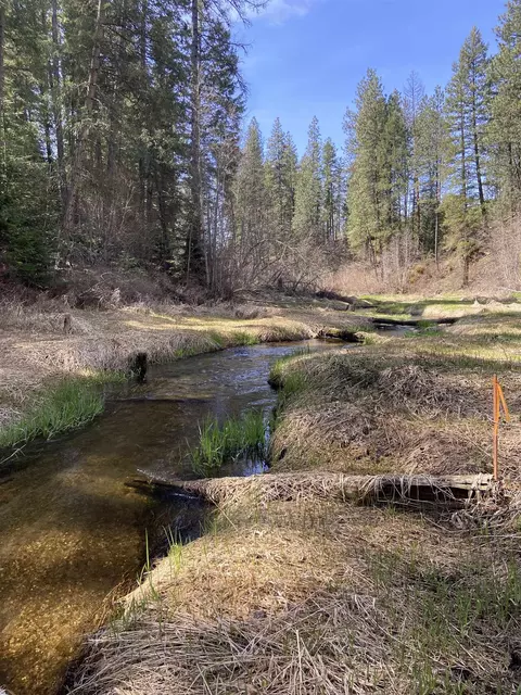 420 N Beck Ln Lot #LOT 7, Springdale, WA 99173