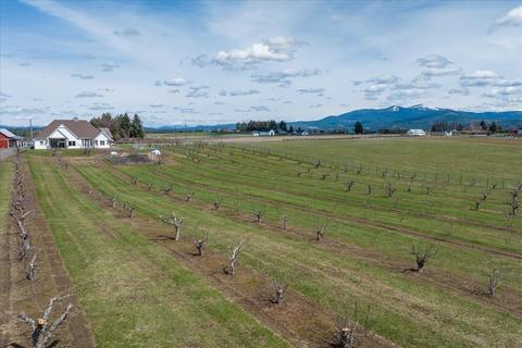 8214 E Greenbluff Rd, Colbert, WA 99005 photo 48