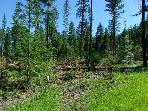 Nnnn Waitts Lake Rd. Rd, Valley, WA 99181