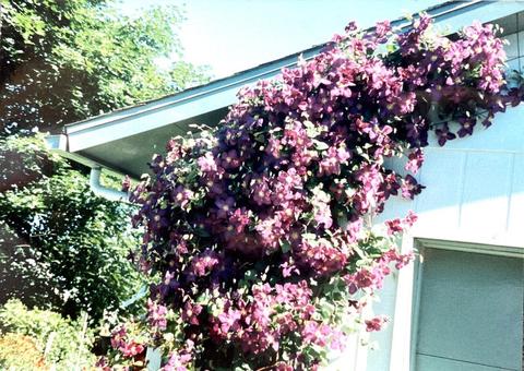 13321 E 5th Ave, Spokane, WA 99216 photo 44