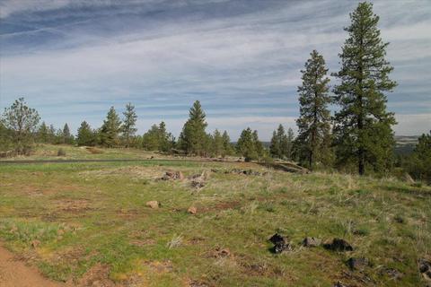 15310 S Stentz Rd, Spangle, WA 99031 photo 37