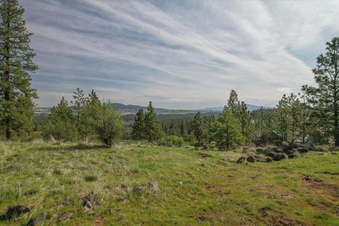 15310 S Stentz Rd, Spangle, WA 99031 photo 36