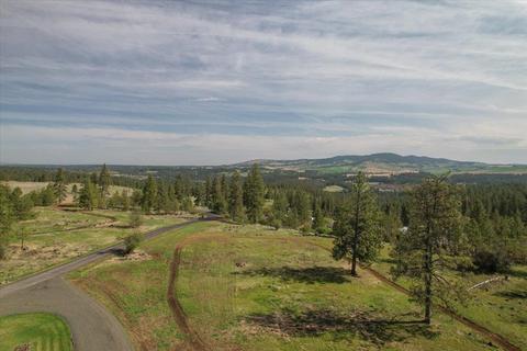 15310 S Stentz Rd, Spangle, WA 99031 photo 41