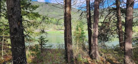 1291 E Joyner Dr, Cusick, WA 99119 photo 1
