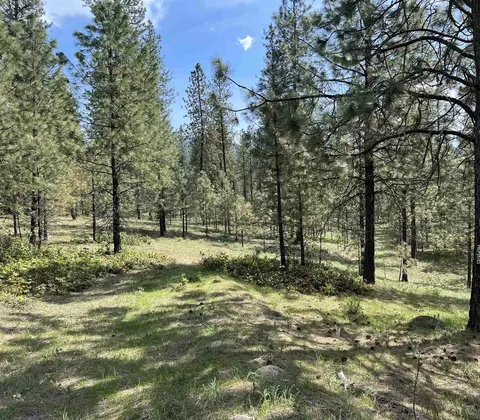 Nnn N Junco Way, Kettle Falls, WA 99141
