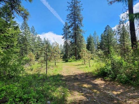 168 Nancy Creek Rd, Kettle Falls, WA 99141