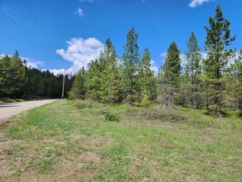 358 Little Sweden Rd # x, Valley, WA 99181