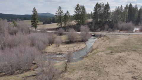 Nn Long Prairie Lot C Rd, Valley, WA 99181