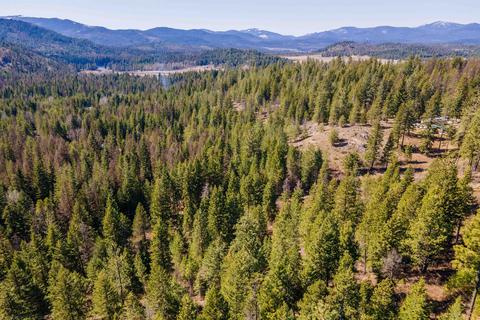 Nka Mountain Trail Ln, Newport, WA 99156