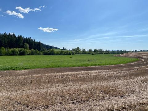 90 Nn E Little Deep Creek Rd #LOT 5, Colbert, WA 99005