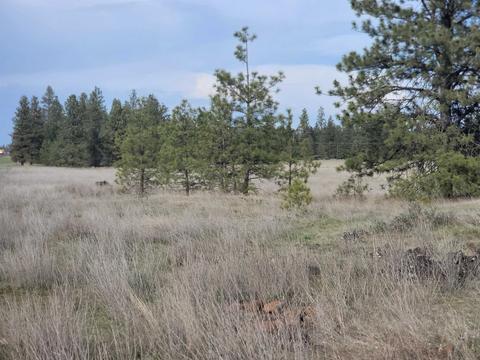 23510 S Malloy Praire Rd # -b, Cheney, WA 99004