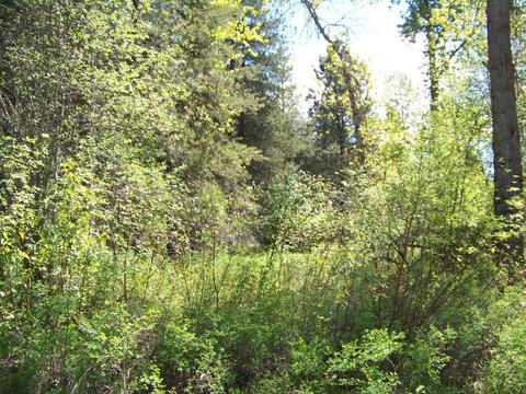 L1 Riverbend Loop, Cusick, WA 99119 photo 15