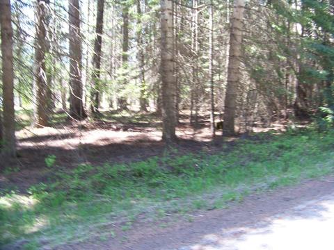 L1 Riverbend Loop, Cusick, WA 99119