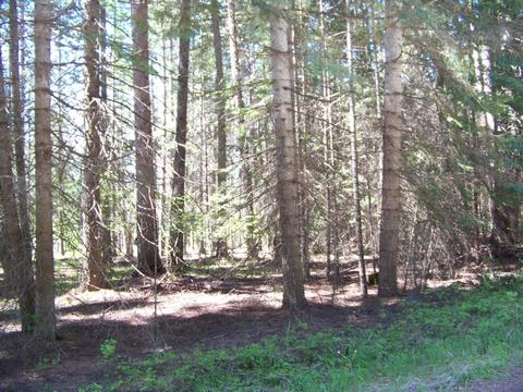 L1 Riverbend Loop, Cusick, WA 99119 photo 11