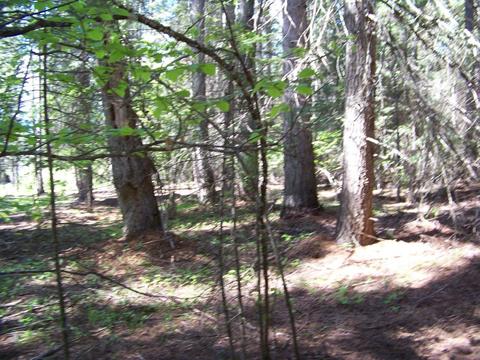 L1 Riverbend Loop, Cusick, WA 99119 photo 10