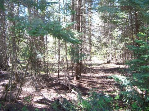 L1 Riverbend Loop, Cusick, WA 99119 photo 5