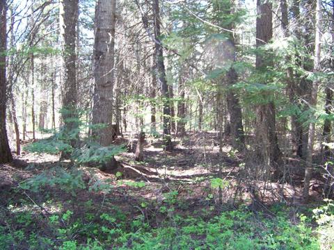 L1 Riverbend Loop, Cusick, WA 99119 photo 14