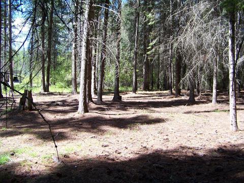 L1 Riverbend Loop, Cusick, WA 99119 photo 2