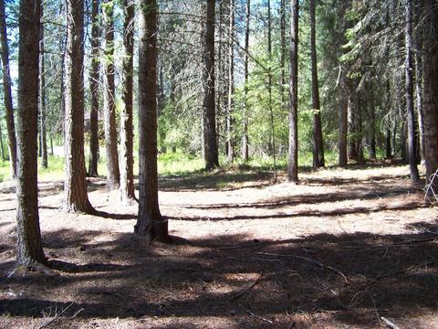 L1 Riverbend Loop, Cusick, WA 99119 photo 12