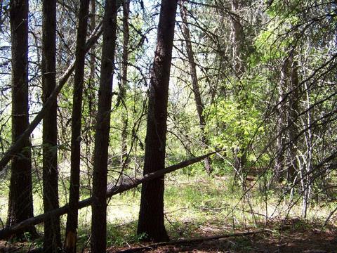 L1 Riverbend Loop, Cusick, WA 99119 photo 13