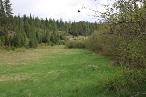 Tbd Elmer Loop Rd, Newport, WA 99156