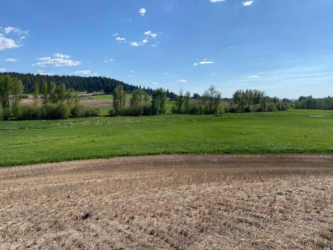 902 E Little Deep Creek Ln #LOT 1, Colbert, WA 99005