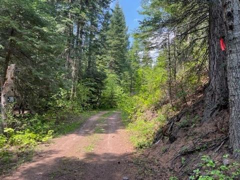 2024- Tbd Summit Valley Rd, Addy, WA 99101