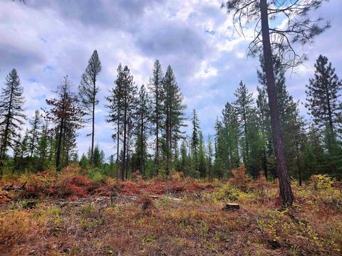 3669 E C E Jump Off Joe Rd, Valley, WA 99181