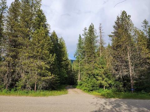 1149 Graham Rd, Cusick, WA 99119 photo 27