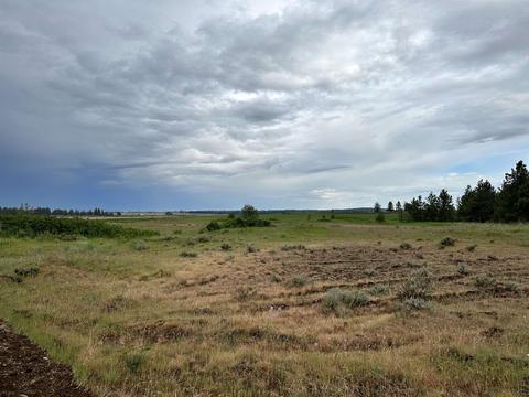 241 Xy W Kitt Rd, Reardan, WA 99029