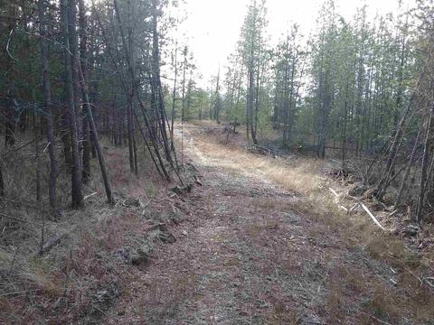 3 Us 2, Newport, WA 99156