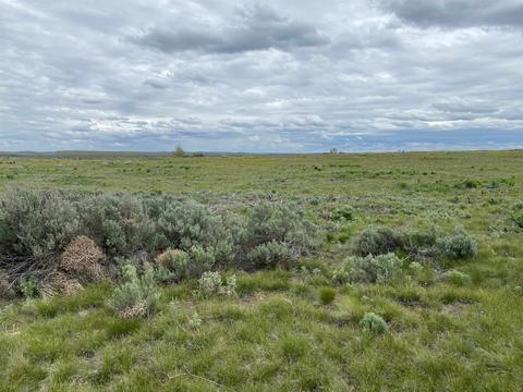 20344 N Sr 28 N Hwy, Davenport, WA 99122