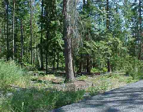 131 Otter Ln, Cusick, WA 99119