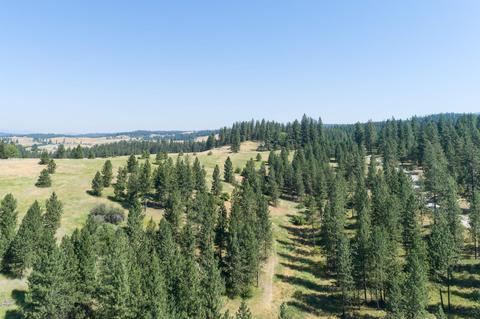Nnn N Madison Rd, Chattaroy, WA 99003