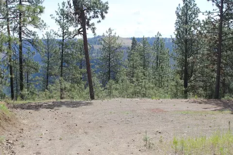 Badger 4 Sontag Ridge Ln, Davenport, WA 99122