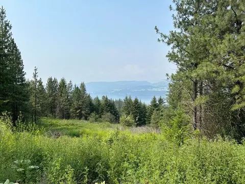 1645 Rickey Canyon Rd, Kettle Falls, WA 99141