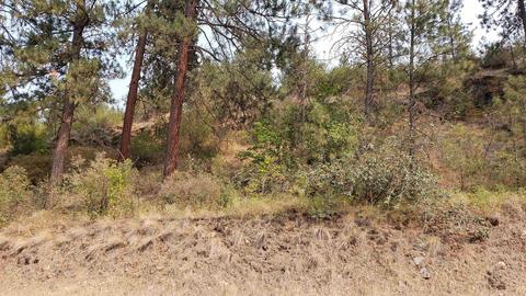 501 Columbia River Rd # x, Hunters, WA 99137