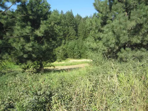 Xxx00 N Mason Rd, Deer Park, WA 99006