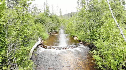 0000 Hwy 20 E, Colville, WA 99114