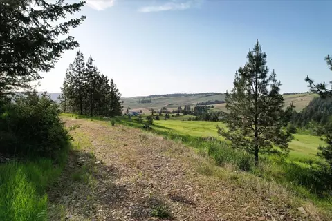10624 S Mica Vista Ln, Mica, WA 99023