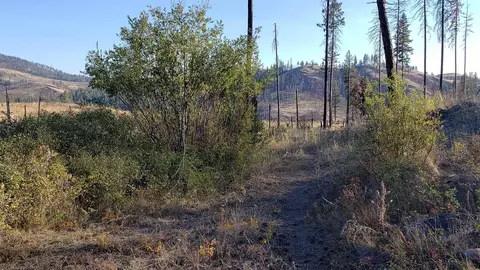 604 Carpenter Rd # X, Fruitland, WA 99129