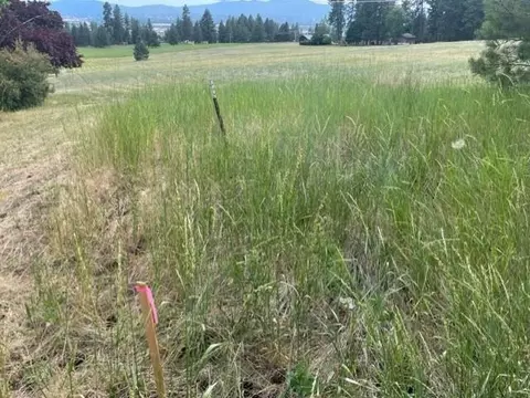 000 Jacobs Rd, Spokane, WA 99217 photo 8