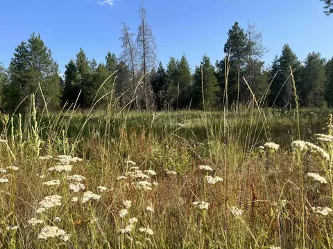 Nka W Findley Ln Lot D, Deer Park, WA 99006